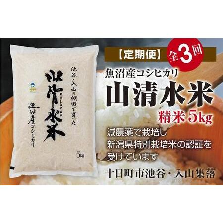 ふるさと納税 精米5kg　新潟県魚沼産コシヒカリ「山清水米」 新潟県十日町市