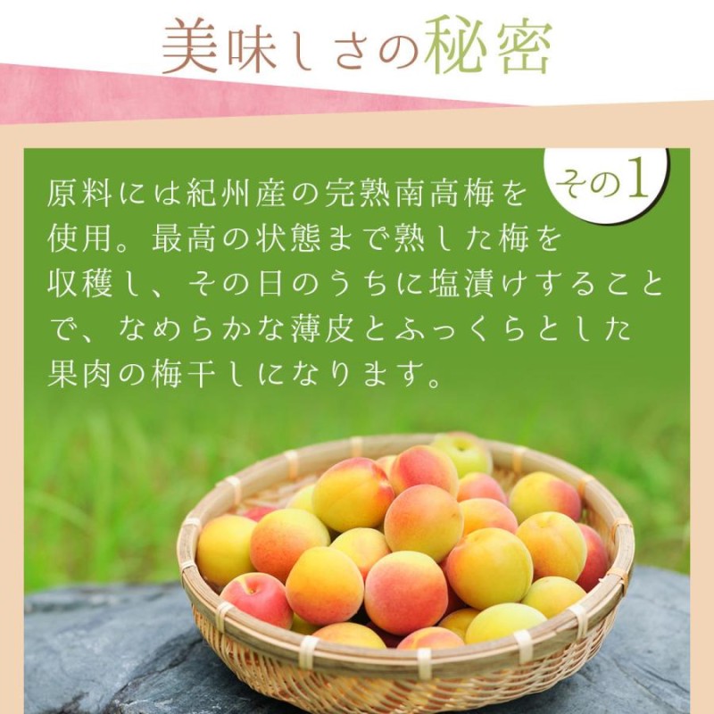 梅干し しらら 個包装 220g (約12〜14粒) 母の日 2024 塩分5％ 中田