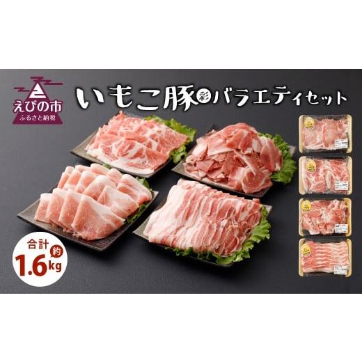 ふるさと納税 宮崎県 えびの市 いもこ豚（彩）バラエティセット 1.6kg セット 詰合せ 宮崎県産