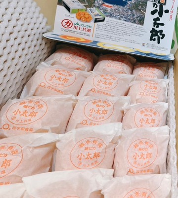 【帕查嬤嬤】????????宇宙無敵 日本第一 限量夢幻商品????????愛媛縣 頂級小太郎蜜柑6顆袋裝｜日本愛媛蜜柑