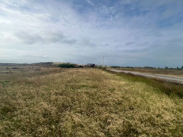 老鎮邊睡，新舊交織的海線記憶｜苗栗縣苑裡鎮西海段