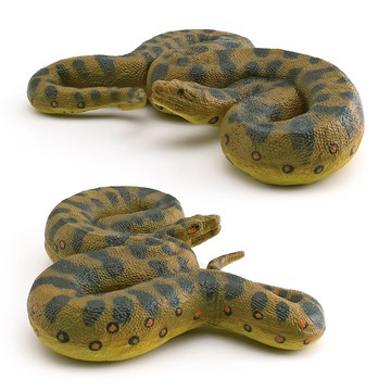 🌈「動物世界」仿真野生爬行動物蛇模型兒童認知樹蚺擺件整蠱裝飾道具