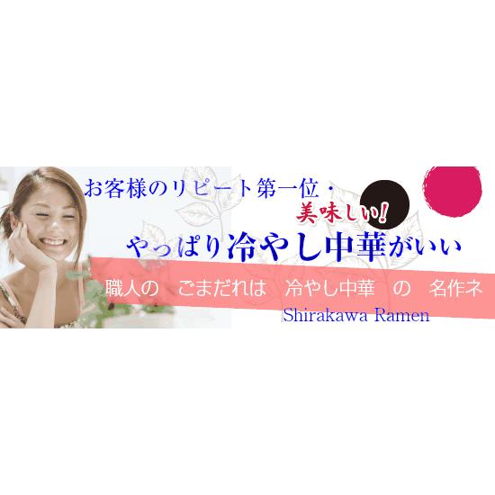 冷やし中華ラーメン 送料無料 ２種類10食セット 冷やし中華ごまだれ＆ 冷し中華レモン風味