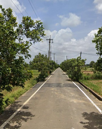 彤彤推薦~新屋大坡段三角堀田園美境的休閒農地｜桃園市新屋區大坡段三角堀小段
