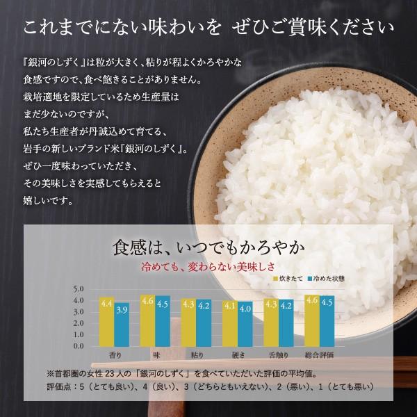 新米 銀河のしずく 4kg 令和5年産 岩手県産 白米 お米 送料無料 精白米