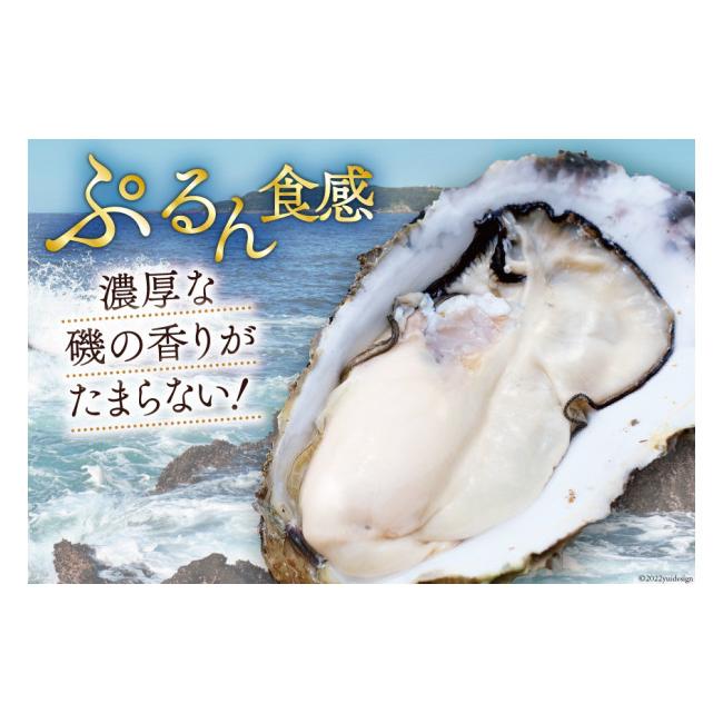 ふるさと納税 宮城県 気仙沼市  牡蠣 3〜4年モノ 生食 殻付き牡蠣 約3kg(約16-18個入) [住喜水産 宮城県 気仙沼市 20562726] 期間限定 冷蔵 新…