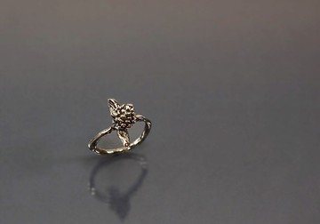 植物系列-小果實葉子925銀戒