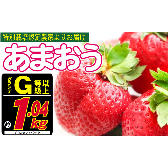 あまおう G以上 約1.04kg 約260g×4パック ※配送不可：北海道・東北・沖縄・離島