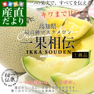 高知県産 最高級マスクメロン「一果相伝(いっかそうでん)」上級品 1玉 約1.6キロ 化粧箱 送料無料 めろん マスクメロン アールスメロン