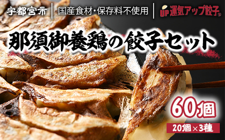 宇都宮餃子　鶏餃子　3種類味比べ(合計60個)保存料不使用