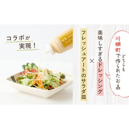 ふるさと納税 鮮やか サラダ皿 3種 ＆ドレッシング300g×3本 (玉葱・人参・ごぼう)[O.. 長崎県川棚町