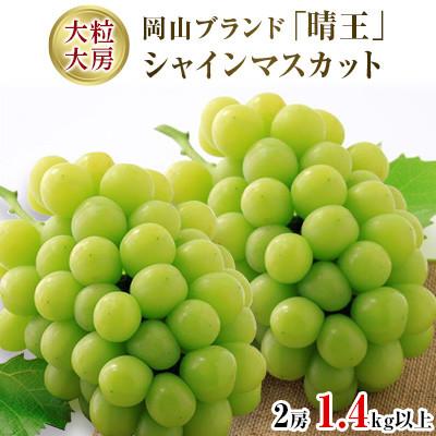 ふるさと納税 総社市 ◆先行受付◆　秋のシャインマスカット「晴王」2房　計1.4kg以上　2024年発送