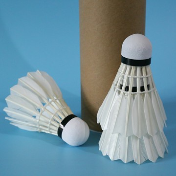 工廠店無標羽毛球訓練練習鴨鵝全毛耐打王戶外12只裝1桶