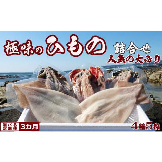 ふるさと納税 千葉県 鴨川市 特選！人気ひもの詰合せ 大ぶり３種＋いか一夜干し２枚 × 選べる３カ月《隔月便》　[0030-0101]