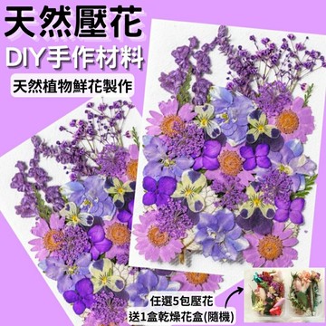 【A-ONE】乾燥真花壓花 乾燥花 拼貼 水晶滴膠 貼臉裝飾 新娘妝 少女寫真DIY 壓花材料 樹葉書籤