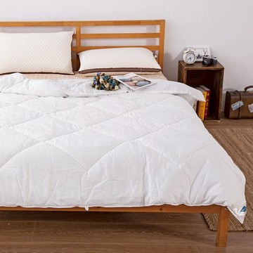 石墨烯Dacron抗菌蓄熱雙面用冬被 / 雙人標準6X7尺