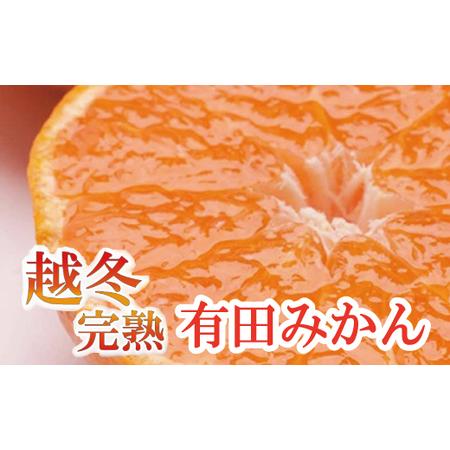 ふるさと納税 家庭用　越冬完熟みかん3.5kg＋105g（傷み補償分）＜1月中旬より順次発.. 和歌山県広川町