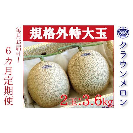 ふるさと納税  クラウンメロン 規格外 特大玉（約1.8kg） 2玉入 定期便6ヶ月 メロン 人気 厳選 ギフト 贈り物 デザート グルメ フルー.. 静岡県袋井市