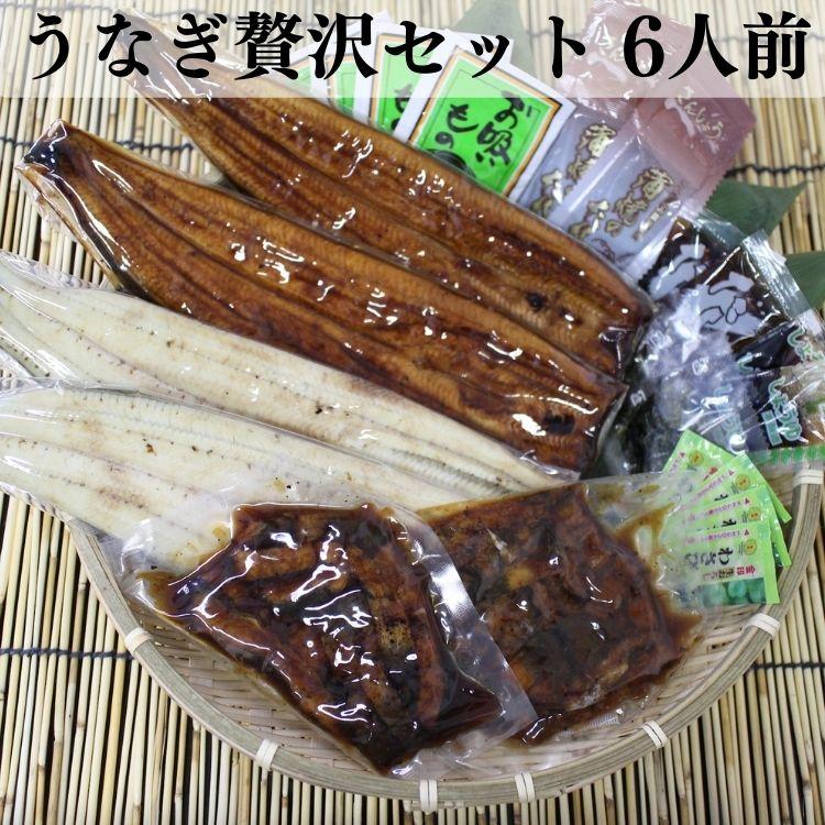 浜松 浜名湖 うなぎ贅沢セット 6人前 うなぎ蒲焼110g×2 うなぎ白焼110g×2 刻みうなぎ60g×2 たれ 山椒 ダシ わさび 醤油 刻み海苔 お吸い物付き 送料無料