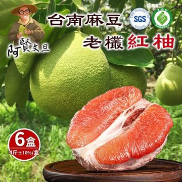 【阿賢文旦】台南麻豆老欉紅柚4斤x6盒(2-4顆/盒_果園直送_中秋禮盒_柚子_紅文旦)