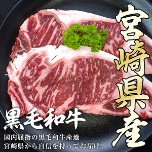 黒毛和牛 サーロイン ステーキ(計400g・200g×2枚) 国産 宮崎県産 牛肉 和牛 お肉 おにく 数量限定 惣菜 おかず