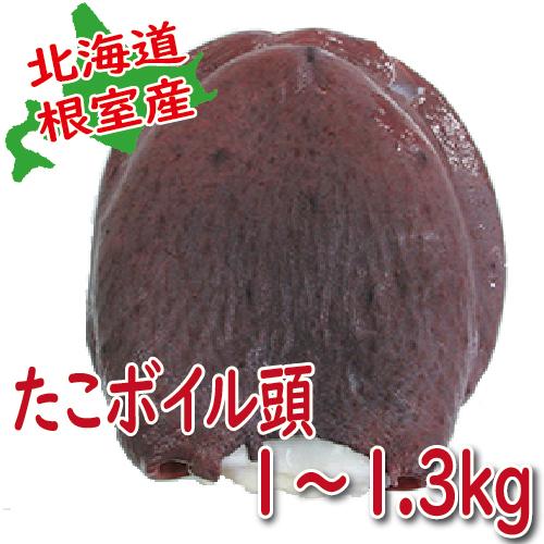 北海道根室産　タコ頭　1〜1.3ｋｇ　（たこ　タコ　北海道産　）