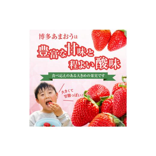 ふるさと納税 福岡県 八女市 博多あまおう350g（化粧箱）｜ＪＡふくおか八女