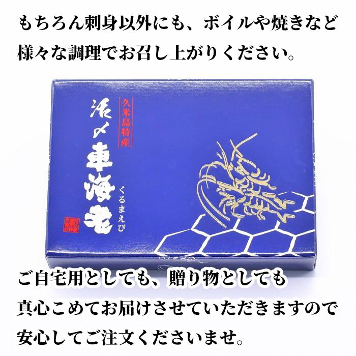 沖縄県久米島産 真空活〆冷凍車海老 500g化粧箱×2箱(1箱に20〜28尾を2箱)