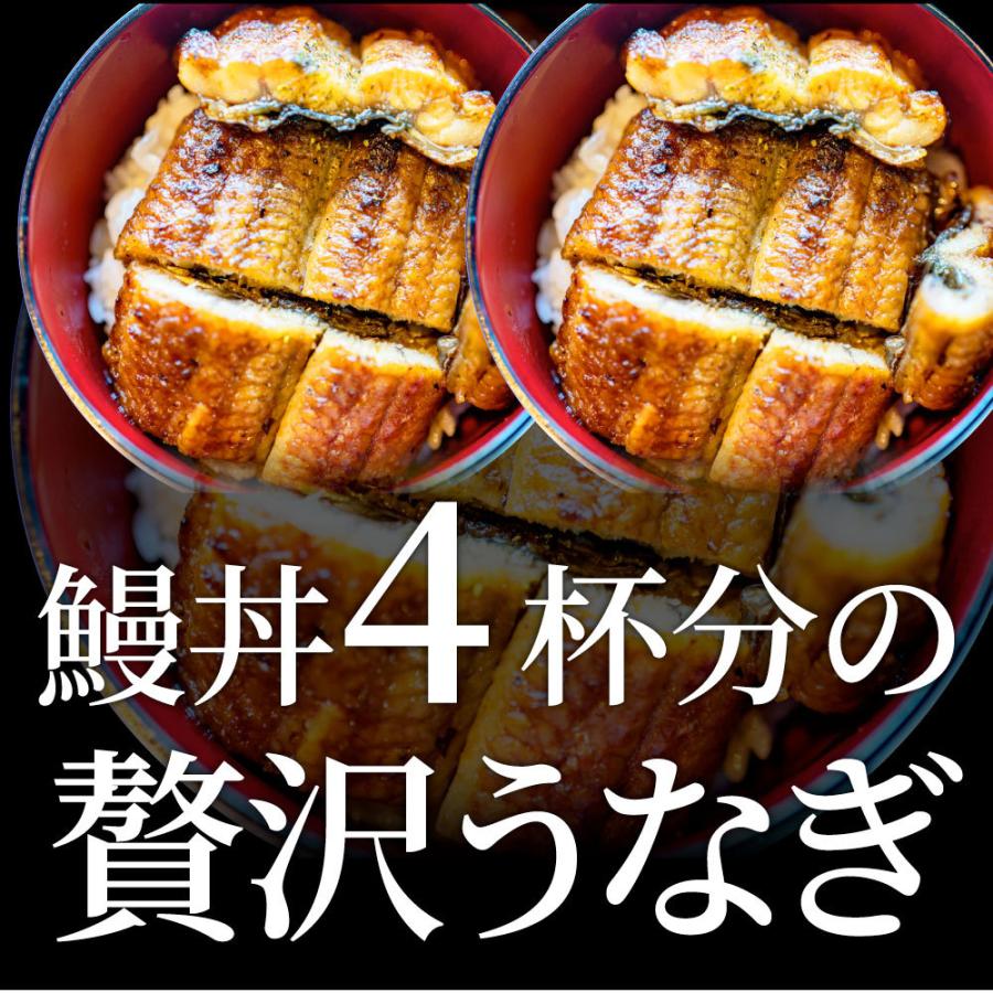 うなぎ蒲焼 2本入り（約200ｇ×2）たれ・山椒付き 鰻 かば焼き 土用 丑の日 湯煎 レンジOK 簡単解凍するだけ 惣菜 冷凍当日発送