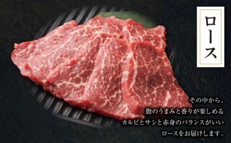 M05-01 焼肉ボタ山秘伝タレ 焼肉セット