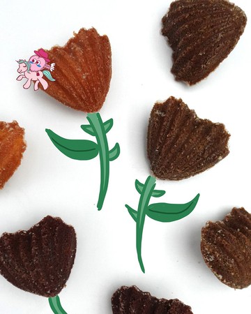 買12送1【2026瑪到心到 】沙漠玫瑰瑪德蓮新年禮盒 (8入)