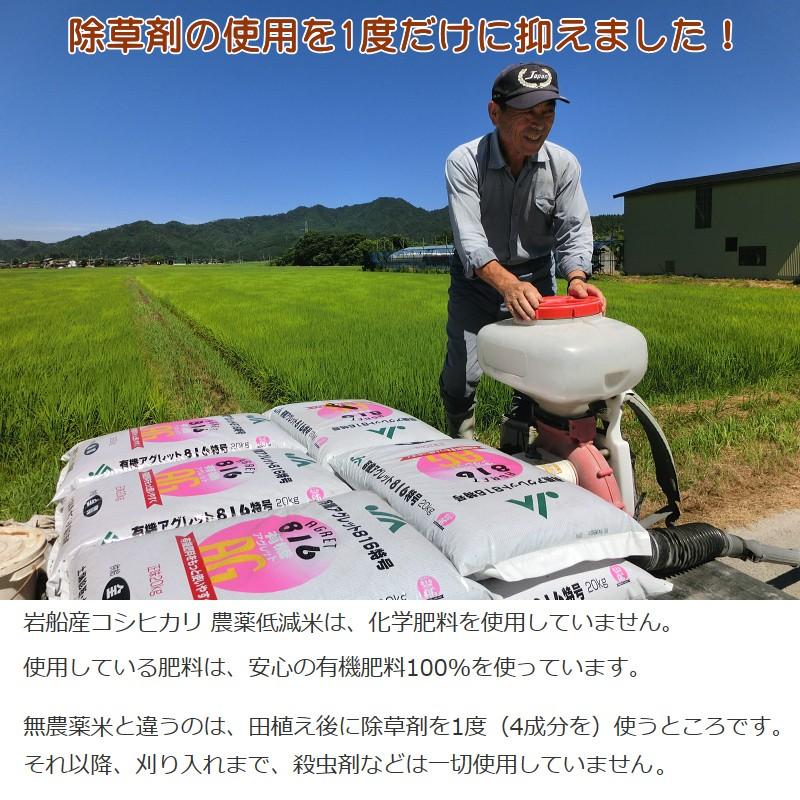 新潟県岩船産 コシヒカリ 1kg×2袋 2kg 除草剤を1度しか使っていない米 お米 白米 特A 送料無料