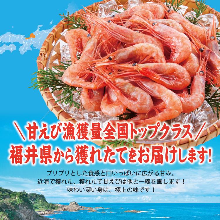 お歳暮 福井県産 甘えび 250g ふくい甘えびを急速冷凍！保存料不使用 無着色 甘エビ 甘海老 アマエビ 海鮮 お刺身 日本海 