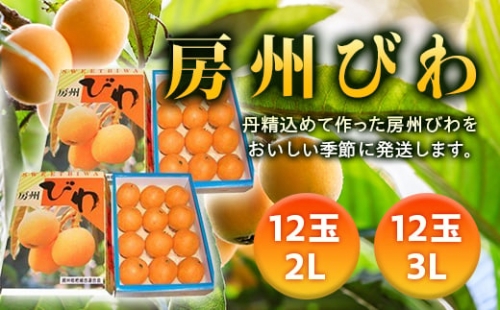  房州びわ 24玉（3Lサイズ12玉と2Lサイズ12玉） ／ ビワ 枇杷 大玉 産地直送 千葉県 特産 フルーツ 果物 びわ F22X-007