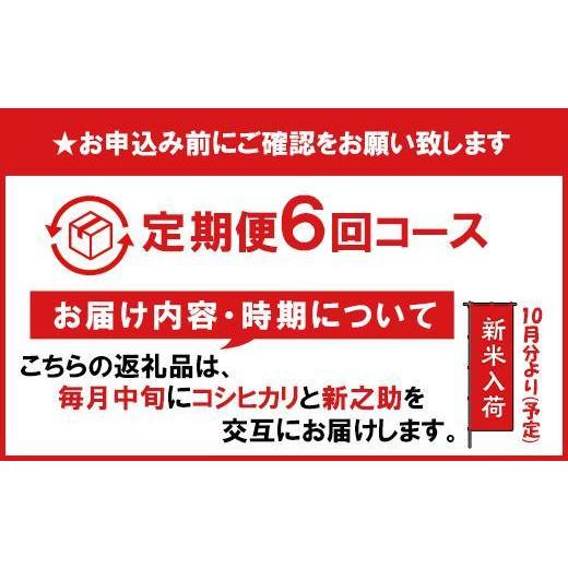 ふるさと納税 新潟県 南魚沼市 南魚沼産コシヒカリ・新之助5kg×6回