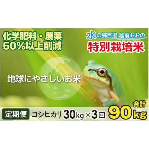 ふるさと納税 福井県 大野市 こしひかり 30kg × 3回 計 90kg