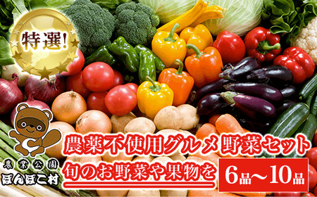 特選！農薬不使用グルメ野菜セット＜農業公園ぽんぽこ村＞