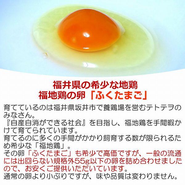 福地鶏のふくたまご25個(規格外55g以下) 福井県の平飼い地鶏卵 産地直送 テトテヲ