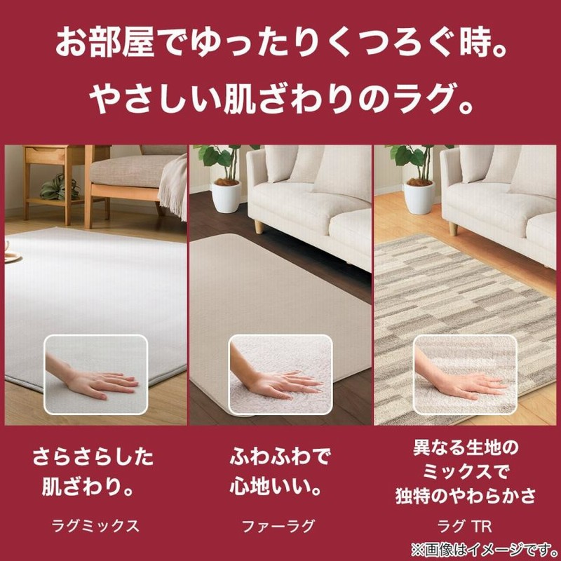ニトリ ほこりがとれやすい洗えるラグ(200X240 BE SR002