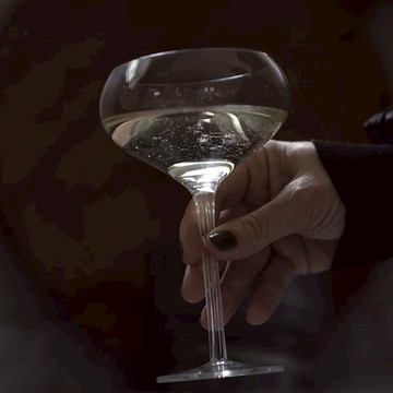 saga 香檳雞尾酒杯2入組