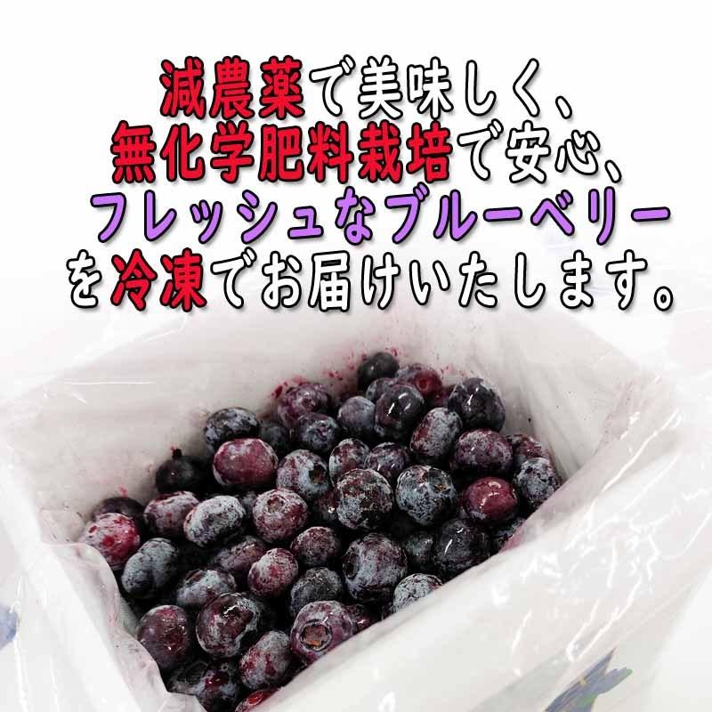 ブルーベリー 500g 福島県産 減農薬 無化学肥料栽培 冷凍