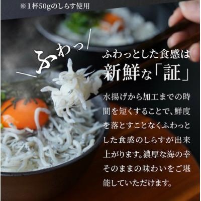 ふるさと納税 延岡市 ぷりっぷりの日向灘甘エビとしらす丼5食分セット　宮崎県日向灘どれ