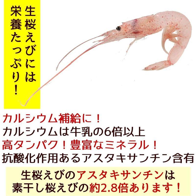 食品 兼上 生桜えび 100g×5袋セット 駿河湾産 由比 静岡 冷凍 さくらえび サクラエビ カネジョウ