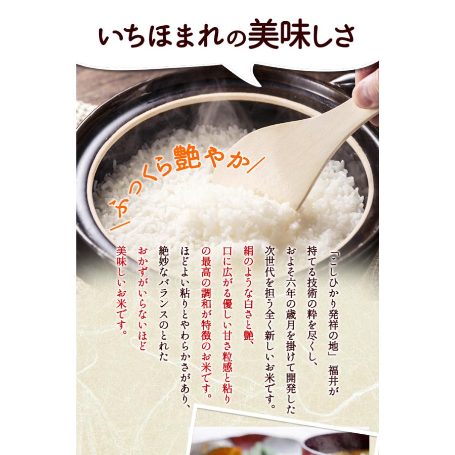 無農薬 玄米 米 10kg(5kg×2袋) 無農薬 いちほまれ 令和5年福井県産 送料無料 無農薬・無化学肥料栽培