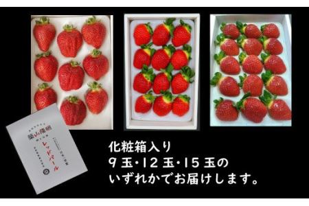  天使のいちご 「樹上完熟レッドパール」　苺 レッドパール 完熟 いちごマム