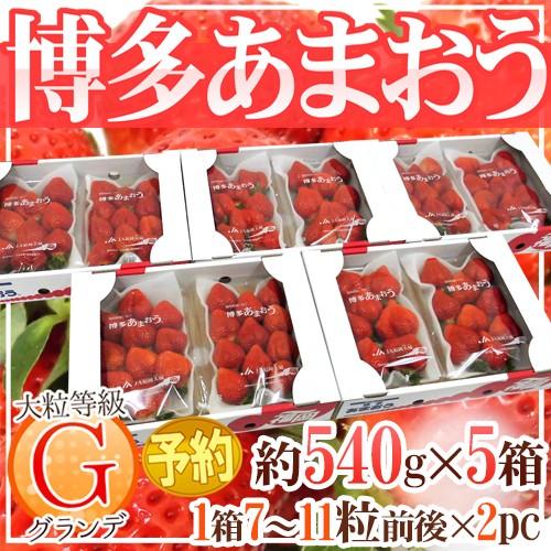 福岡産 博多 ”あまおういちご” 等級G（グランデ） 5箱 10パック入り（1パック約270g） 送料無料