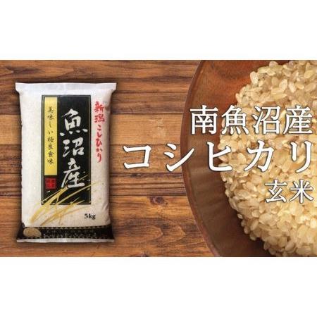 ふるさと納税 令和5年産 南魚沼産コシヒカリ玄米5kg 新潟県南魚沼市