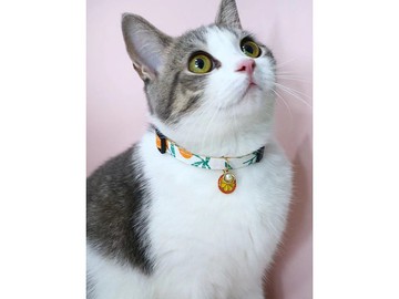 【iC原創】手工貓狗無聲項圈夏日風橙子