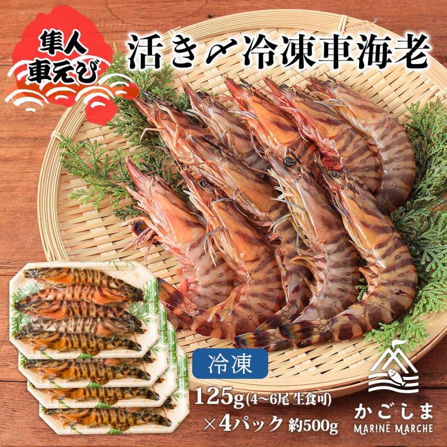 [隼人車えび] 海鮮 活き〆冷凍車海老約125g(4~6尾)×4パック(生食可) 約500g えび 車エビ 真空パック 鮮度 新鮮 鹿児島 急速 刺身 贈り物 ギフト お中元 お歳暮