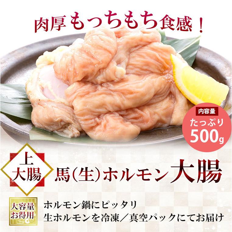 馬刺し 肉 熊本 国産 上 ホルモン 大腸 約500g 馬肉 ギフト 食べ物 おつまみ 熊本馬刺し専門店 お中元 2023